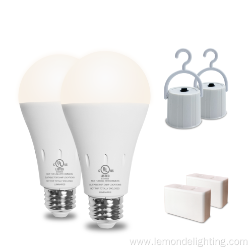 Portable Cordless Charging Emergency Bulb Recharge Bulb
